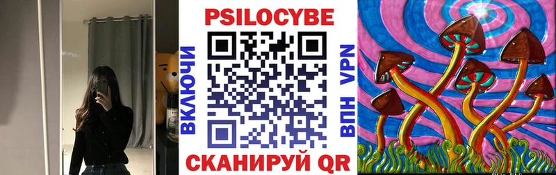 дарк нет наркотические препараты  где найти   Черноголовка  Псилоцибиновые грибы Cubensis 